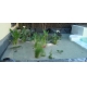 Piscina natural epdm blanco 1,52mm a medida 5